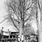 p 1b PARKCorporal150