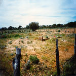 Mt Margaret Cemetery