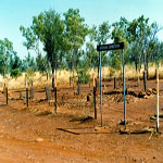 Wyndham Afghan Cemetery