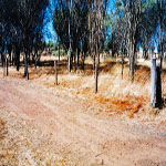 Jumperdine Cemetery Toodyay
