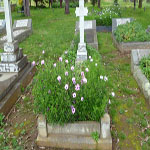 Egerton-Warburton Edward