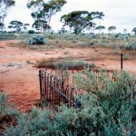 ADAMS Gertrude Emily