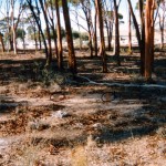 BARRY Anthony Edward & SLYTHE Clarence