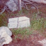 LELBACH Angela Dorothy 