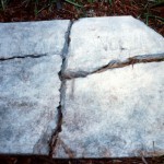 LELBACH Angela Dorothy 