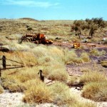 Bonney Downs Station East Pilbara