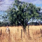 Dunham River Station
