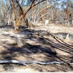 Moorine Rock Yilgarn