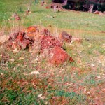 COATES three children