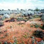 MARSHALL Thomas John 