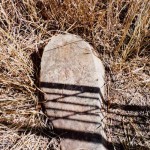 MAY Frederick Henry & LEE Robert T 