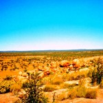 Billabalong Station Mt Grass