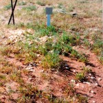 Karbar Station Tuckanarra