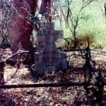 Meetheena Station East Pilbara