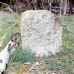 Lynburn Station Esperance