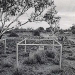Gascoyne Junction cemetery